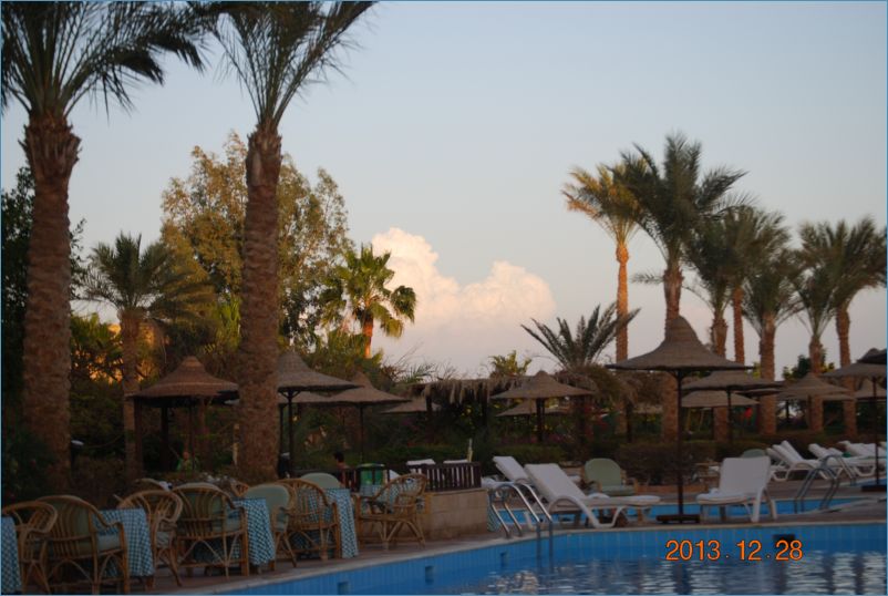 sharm 12 213